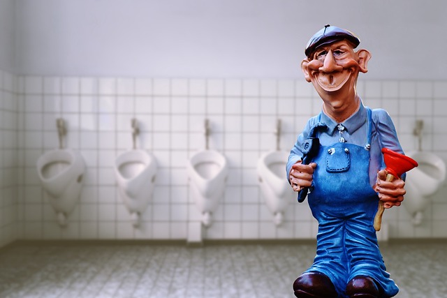 Instalatéři se bez spolehlivého auta neobejdou